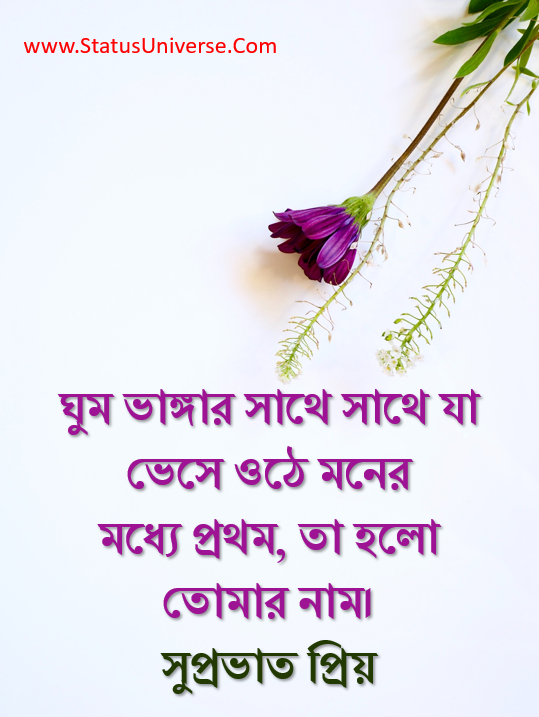 100+ Sweet Good Morning Wishes in Bengali – শুভ সকাল – সুপ্রভাত