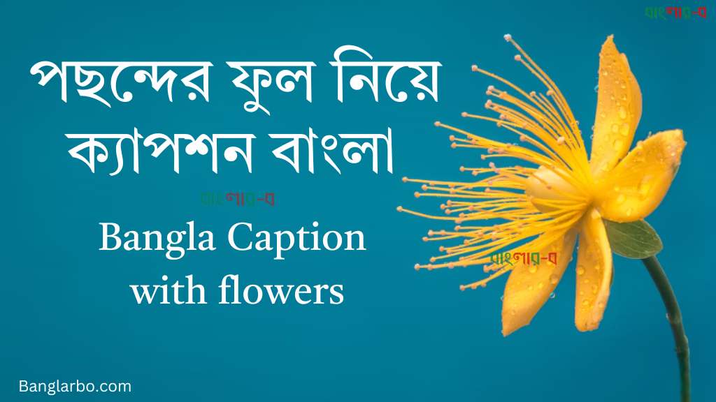 100+ পছন্দের ফুল নিয়ে ক্যাপশন বাংলা – Bangla Caption with flowers – 2024