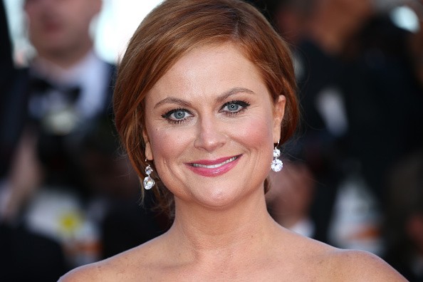Amy Poehler Net Worth, Wiki, Facts and Family, Age, Height