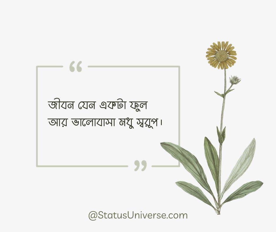 Best Love Quotes in Bengali for Girlfriend – গার্লফ্রেন্ডের জন্য ভালোবাসার উক্তি