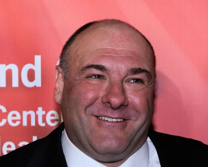 James Gandolfini Net Worth, Wiki, Facts and Family, Age, Height