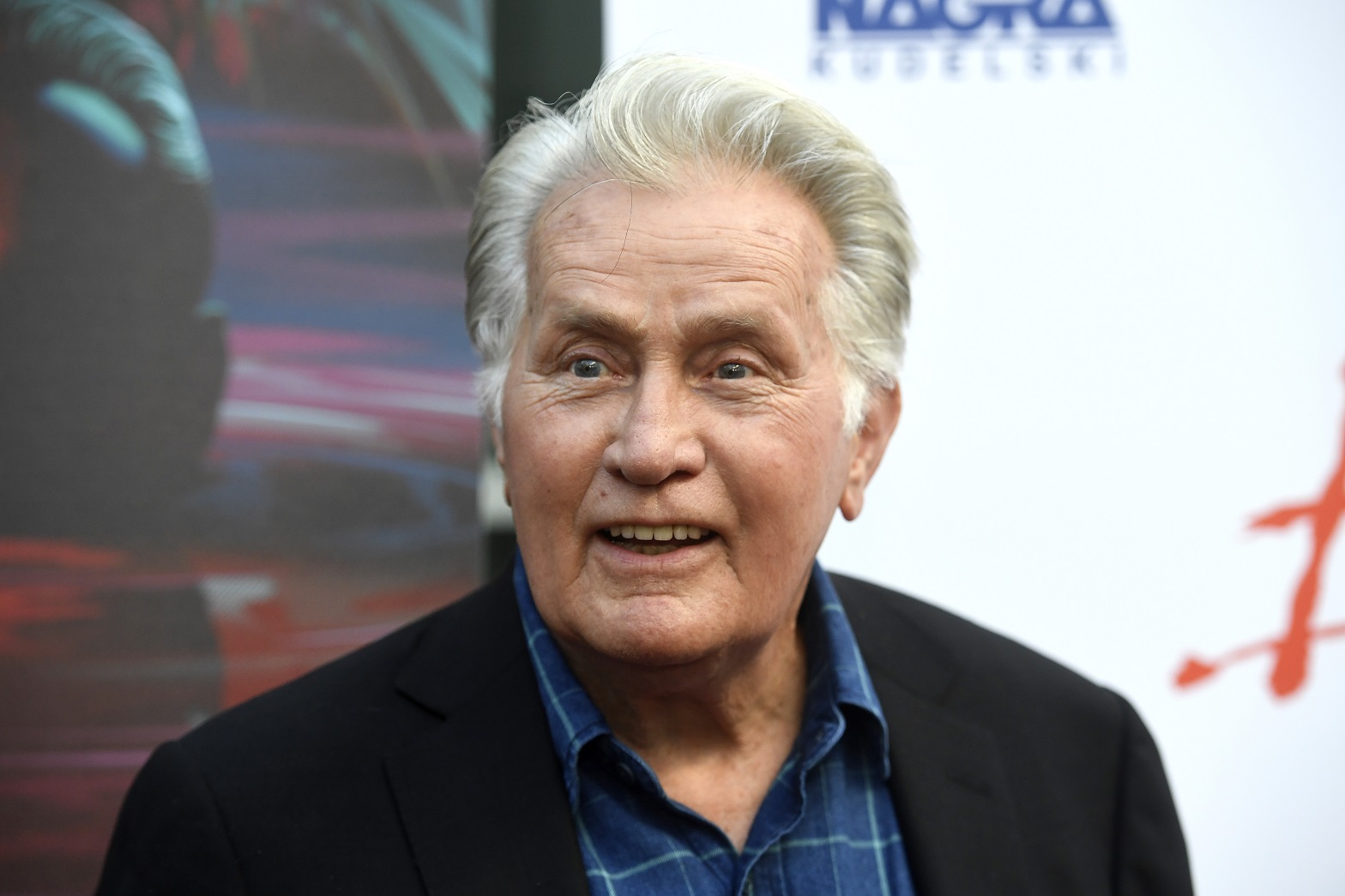 Martin Sheen Net Worth, Wiki, Facts and Family, Age, Height