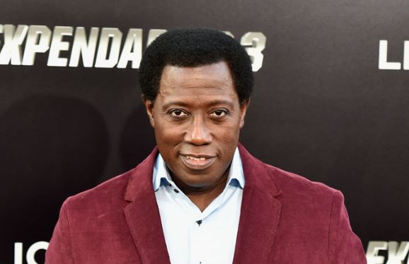 Wesley Snipes Net Worth, Family, Bio, Height, Awards
